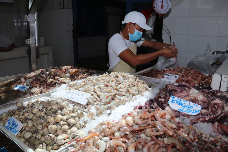 Fishing sector leading Panama’s exports